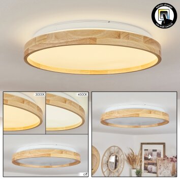 Menthonnex Ceiling Light LED white, 1-light source