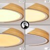 Pontchardon Ceiling Light LED white, 1-light source