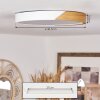Pontchardon Ceiling Light LED white, 1-light source