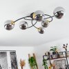 Chehalis Ceiling Light brass, black, 6-light sources