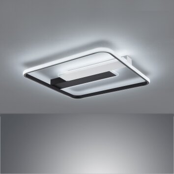 Fischer & Honsel Blithe Ceiling Light LED black, white, 1-light source