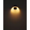 Globo NAGGY Outdoor Wall Light LED black, 1-light source