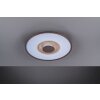 Fischer & Honsel Veit Ceiling Light LED gold, rust-coloured, 1-light source, Remote control