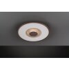 Fischer & Honsel Veit Ceiling Light LED gold, rust-coloured, 1-light source, Remote control
