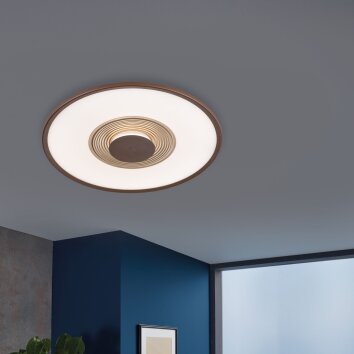 Fischer & Honsel Veit Ceiling Light LED gold, rust-coloured, 1-light source, Remote control