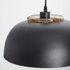 Wambez Pendant Light black, 1-light source
