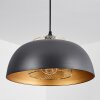 Wambez Pendant Light black, 1-light source