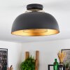 Wambez Ceiling Light black, 1-light source