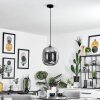 Augicourt Pendant Light black, 1-light source