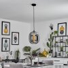 Augicourt Pendant Light black, 1-light source