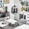 Augicourt Pendant Light black, 1-light source