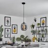 Augicourt Pendant Light black, 1-light source