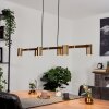 Zuoz Pendant Light antique brass, 6-light sources