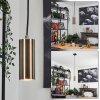 Javel Pendant Light black, 1-light source