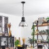 Aurouze Pendant Light black, 1-light source