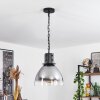 Aurouze Pendant Light black, 1-light source