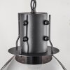Aurouze Pendant Light black, 1-light source