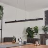 Battenheim Pendant Light LED anthracite, 1-light source