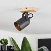 Vergoignan Ceiling Light Ecru, black, 1-light source
