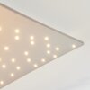 Madrier Ceiling Light LED matt nickel, white, 1-light source, Remote control