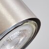 Zuoz Pendant Light Ecru, matt nickel, 6-light sources