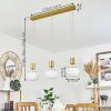 Izenave Pendant Light LED brass, 3-light sources