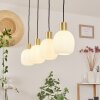 Pintacura Pendant Light brass, 4-light sources