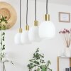 Pintacura Pendant Light brass, 4-light sources