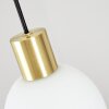 Pintacura Pendant Light brass, 4-light sources