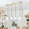 Pintacura Pendant Light brass, 4-light sources