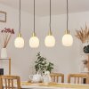 Pintacura Pendant Light brass, 4-light sources
