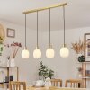Pintacura Pendant Light brass, 4-light sources