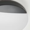 Joserand outdoor ceiling light LED anthracite, 1-light source