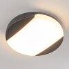 Joserand outdoor ceiling light LED anthracite, 1-light source