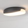 Joserand outdoor ceiling light LED anthracite, 1-light source