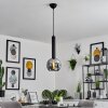 Trezeste Pendant Light black, 1-light source