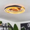 Golega Ceiling Light LED brass, black, 1-light source