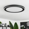 Audrieu Ceiling Light LED black, white, 2-light sources