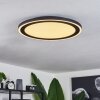 Audrieu Ceiling Light LED black, white, 2-light sources