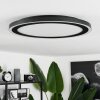 Audrieu Ceiling Light LED black, white, 2-light sources