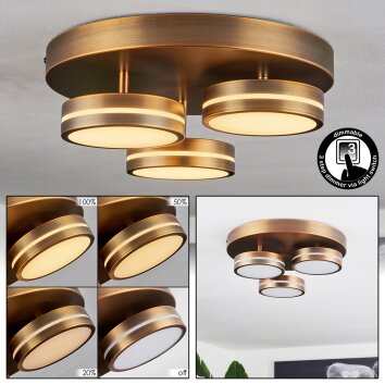 Huallilemu Ceiling Light LED antique brass, 3-light sources