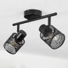 Roto Ceiling Light black, 2-light sources