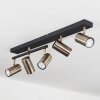 Javel Ceiling Light antique brass, black, 5-light sources