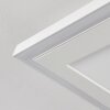 Audrieu Ceiling Light LED white, 2-light sources