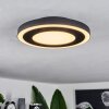 Audrieu Ceiling Light LED black, white, 2-light sources