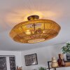 Cassano Ceiling Light Ecru, 2-light sources