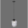 Paul Neuhaus SHITAKE Pendant Light black, 1-light source