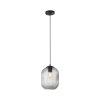 Paul Neuhaus SHITAKE Pendant Light black, 1-light source