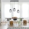 Paul Neuhaus SHITAKE Pendant Light black, 3-light sources
