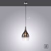 Paul Neuhaus PILUA Pendant Light chrome, 1-light source